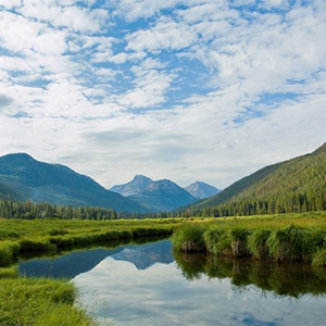 Serenity is in short supply these days. Here’s where to find your own.