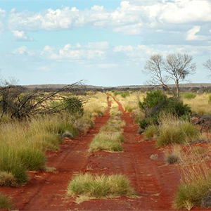 A pathway in the desert