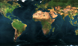 flat map of globe
