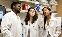 image of scientists